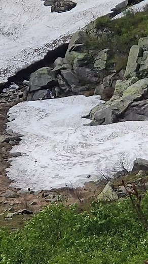 1.2K reactions · 87 shares | Spotted today in Tuckerman Ravine, 7/6/25 | Debra McCown | Facebook