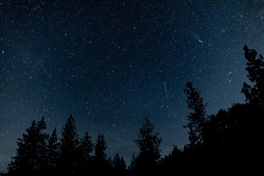 Orionid meteor shower peaks tonight and stargazers are in for a ‘rare’ treat