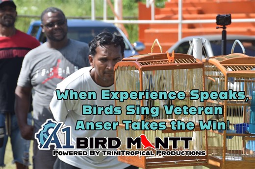 🏆 Veteran Birdman Anser Still on Top! 🎶 Experience showed its true colors in Moruga as one of the veterans of the birding game took home the win in the First to 50 category! 👏 With decades in the sport, he reminded everyone that winning isn’t just about the day it’s about preparation, patience, and timing. 💪 “The goal now is to prep the birds for the latter part of the year,” he shared, showing that consistency and care are what separate the good from the great. Even in the blazing Moruga su