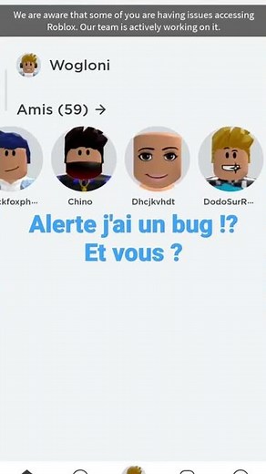 j'ai une bug sur roblox et vous?