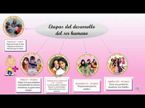 Primer Grado :Etapas del desarrollo del ser Humano