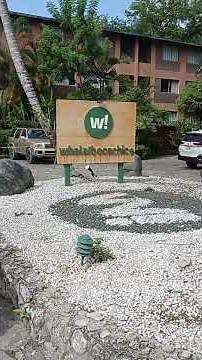 Whala Boca Chica all inclusive resort in Dominican republic - awesome!