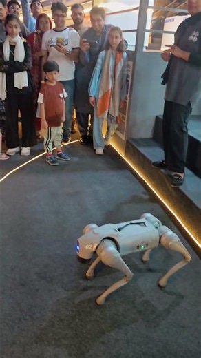 Why this robot performance is changing science tech