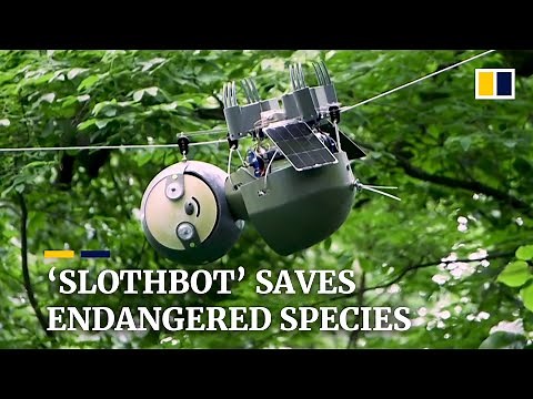 ‘Slothbot’ saves endangered species by moving slowly to see the big environmental picture