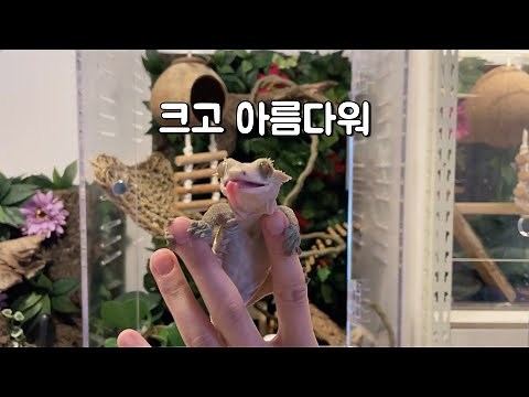 I gave the snake a huge house.