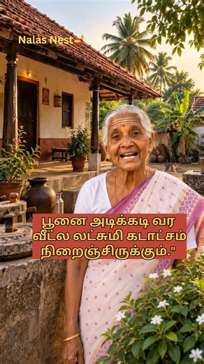 வீட்டுக்கு அடிக்கடி பூனை வருதா? இதை தெரிஞ்சுக்கோங்க! 🐈✨#Nalas Nest