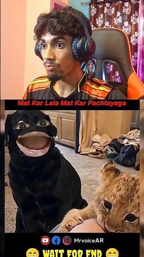 funniest dog 🤣#memereaction#funnyreaction#viral#shorts#youtubeshorts#trending#funny#memes