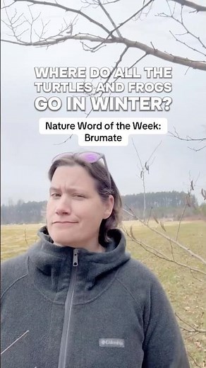 What is Brumation?? #wildlife #naturefacts #naturevocabulary