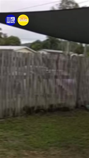 Investigations into the incident are ongoing. #9News | 9 News