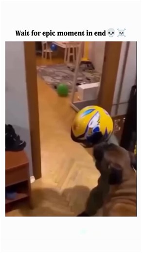 break.edition on Instagram: "This video is a fast-paced compilation of humorous mishaps involving children, structured as a series of "fails." Each segment is punctuated by a black screen displaying a counter, such as "KID FAILS X2" or "KID FAILS X5," accompanied by a jarring sound effect. The clips range from a toddler in a motorcycle helmet accidentally headbutting a door to a child enthusiastically running into a glass sliding door while wearing goggles. As the video progresses, the situation