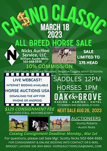 Upcoming Shows and Events