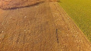 Fisheye correction with VirtualDub