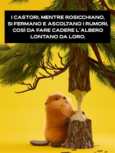 Un Salto tra gli Animali: Nuovo Film Disney e Pixar