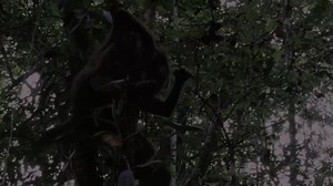 The Lost Tribe (2009)