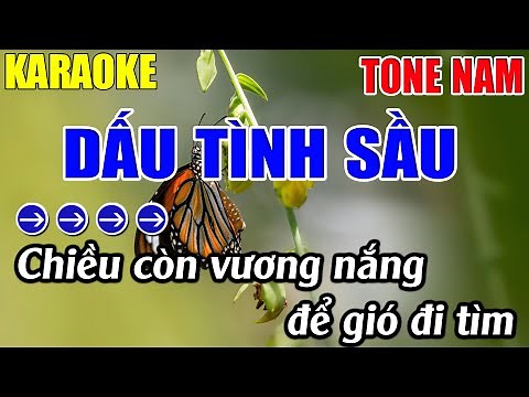 Dấu Tình Sầu Karaoke Tone Nam Karaoke Lâm Nhạc Sống - Beat Mới