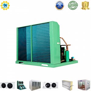 [Hot Item] Freezer Room Refrigeration Unit Cold Room Condenser Unit Cold Storage Equipments for Sale