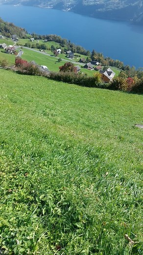 Exploring the Beauty of Switzerland's Alps