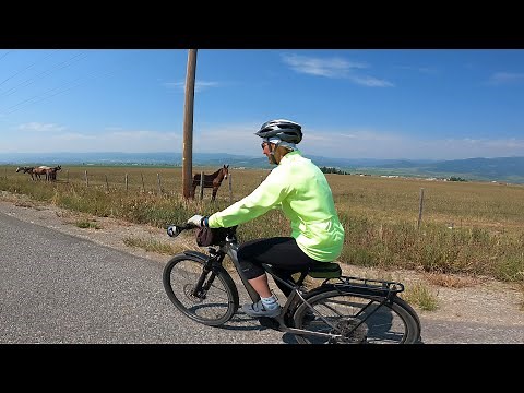 Cannondale Tesoro Neo X1 Ebike (2021)