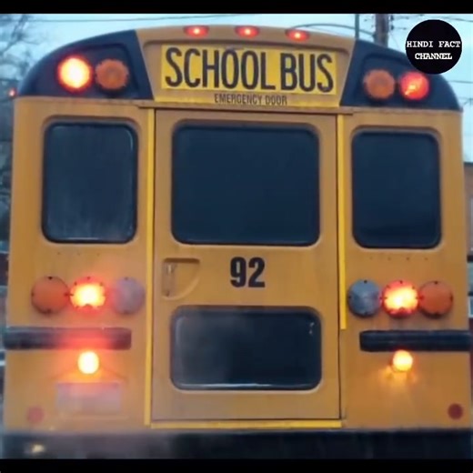 3.1K views · 65 reactions | These Famous YouTube Channels Will End? 25 Most Amazing Facts | Hindi Facts Channel | Facebook