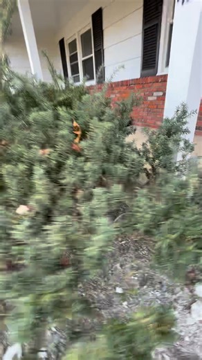 • “Every great patio starts with solid prep 💪 Watch this space transform step by step!” | Mercer Home Services