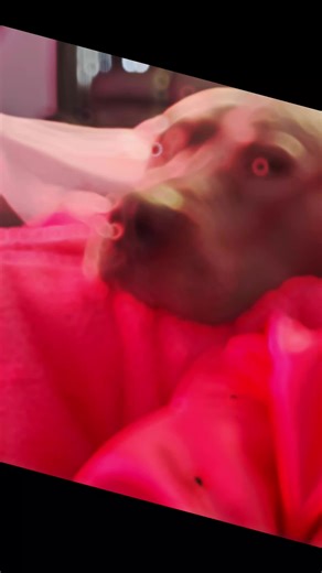 🎩Magic worm 🪱 (@magicworm4)’s videos with original sound - Winnie & April