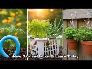 10 Dollar Tree Garden Hacks That Work in 2025 and Beyond