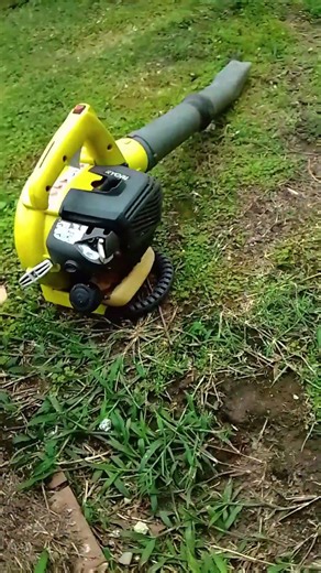 ryobi 2 cycle blower first start in 3 years.
