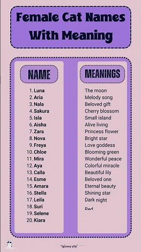 Top Female Cat Names With Meaning in 2025 #cats #catnames #kitty #catvideos #viral