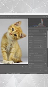 1.8K views | How to Auto-Edit with One Key in Photoshop . Follow : Vipul Graphics . Thanks . #photoshop #photo #editing #tutorial #graphicdesign #graphics #explore | Vipul Graphics | Facebook