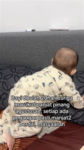 Bayi 6 Bulan Ikut Panjat Pinang? Tanda Siap Berdiri dan Aktif