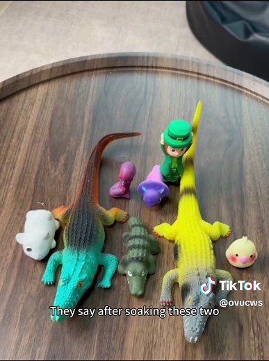 Lolong Crocodile facts and satisfying toy experiments