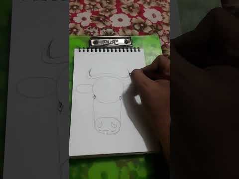 Easy drawing of a bull for beginners