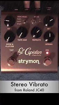 Strymon El Capistan V2 with Hagstrom Viking Baritone