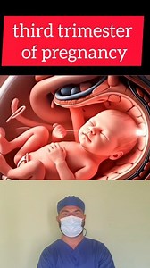 The Amazing Journey of a Baby from the First to the Third Trimester! In this video, you’ll see how the baby grows during each trimester, what changes occur, and how the body gradually develops 🤍 #medical #womenshealth #doctor #realestate #nurse #pregnancy #pregnant #womenhealth #nursing #women #reelsfbシ | Dr Fatah Hamid