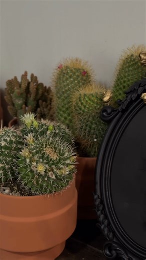 2.1K views · 13 reactions | I hope you enjoyed watching my Halloween DIYs as much as u enjoyed making them!! HAPPIEST HALLOWEEN #halloweendiy #halloweencrafts #diy #sustainablecraft #plantcraft #plantart #halloweenplants | Beyond Shaya - The Living Art Studio | Facebook