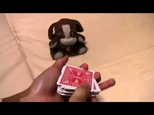 Big Unscientific Experiment 01: "Is clairvoyance possible?"