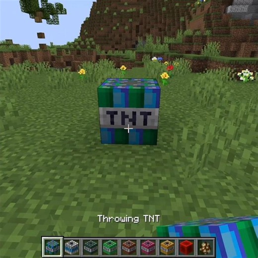 Tnt vs Mob 299