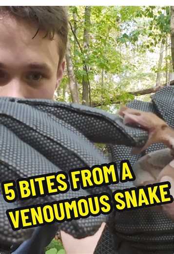 COPPERHEAD BITE TEST! On this episode, @raytiller teamed up with @Coyote Peterson to push a pair of “bite‑proof” gloves to their absolute limits… by putting them up against a real Copperhead! Ray has handled Copperheads since childhood, but somehow had never taken a bite — until this experiment. With Coyote assisting, they set out to see whether the gloves could withstand a strike from one of the most frequently encountered venomous snakes in the United States. Even though the fangs didn’t punch