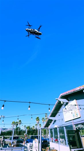 Fin's Seafood Bar & Grill | Yesterday was… wild in the best way. 😂 @mrbeast and @jetsonaero showed up @finsbarandgrill Well… sort of. When his team first reached out,... | Instagram