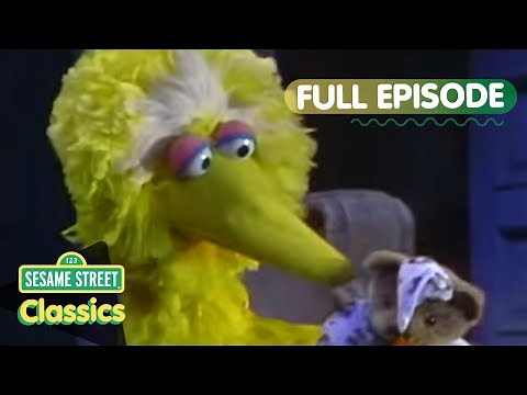 Big Bird Stays Up Late | Sesame Street Classics Full Episode