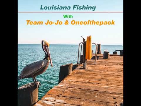 We teach fishing & catching—sharing spots, techniques & presentations to help all anglers succeed. 🎣