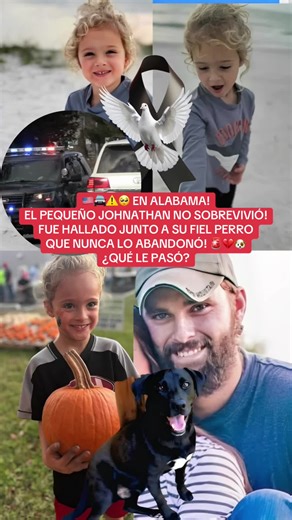 Johnathan Everett Boley, de 4 años fue hallado junto a su perro en Arkansas luego de desaparecer en una zona boscosa #estadosunidos🇺🇸 #historiasdetiktok #creatorsearchinsights #historiasreales #breakingnews