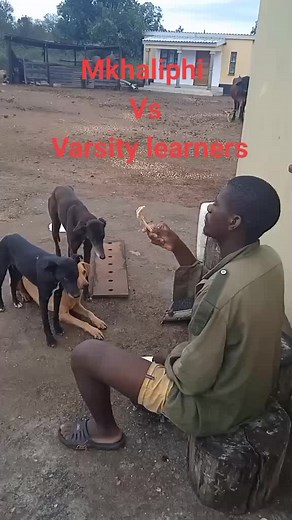 magongo the comedian (@magongo.comedy)’s videos with original sound - magongo the comedian