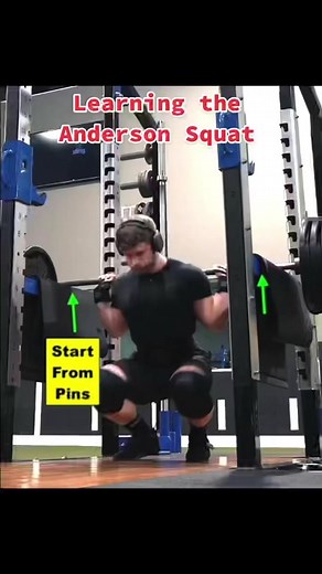 Anderson squat 101 with Jeff Nippard. #squat #powerlifting #gym #workout #fitness #fit #lifting #ComeDanceWithMe #legday #exerxise #bodybuilding #gymtok #lift #strong #foru