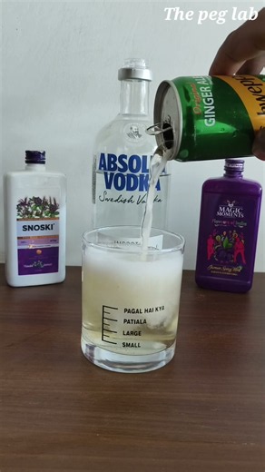 Absolute vodka peg review 🥃#drink #vodka #vodkalovers #ytshorts #short