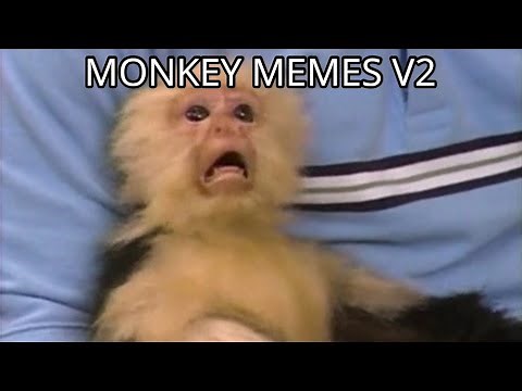 Monkey Memes V2