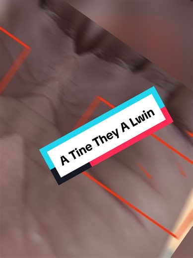 Palmistry: Understanding the Lines on Your Hand