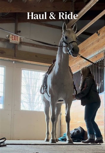Michigan winters suck. 2nd ride back trying to get these horses in shape! #ridingvlog #indoorarena #aqha #quarterhorses #hauling