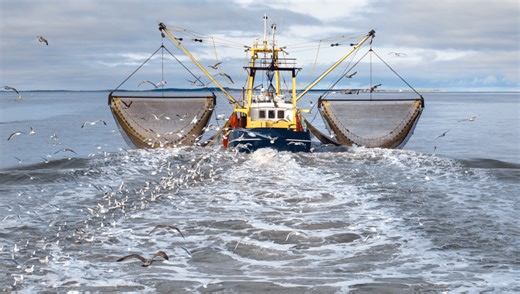 “If We Save The Sea, We Save The Planet”: World-First Footage Shows The Devastating Impact Of Trawling