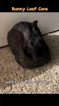 Bunny loaf core